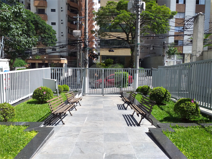 Foto REO698762