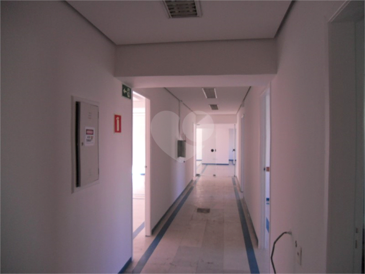 Foto REO698881