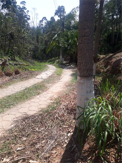 Venda Sítio Atibaia Área Rural De Atibaia REO699026 12