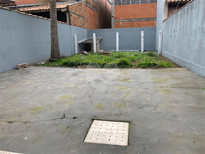 Foto REO699704