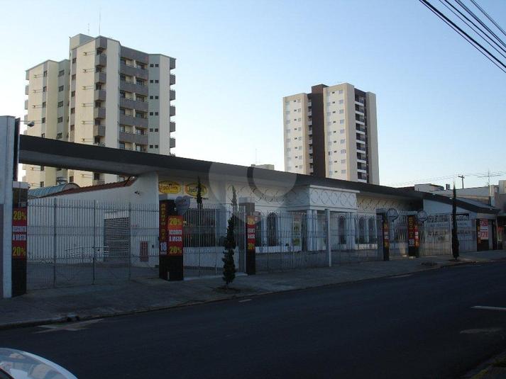 Foto REO69974