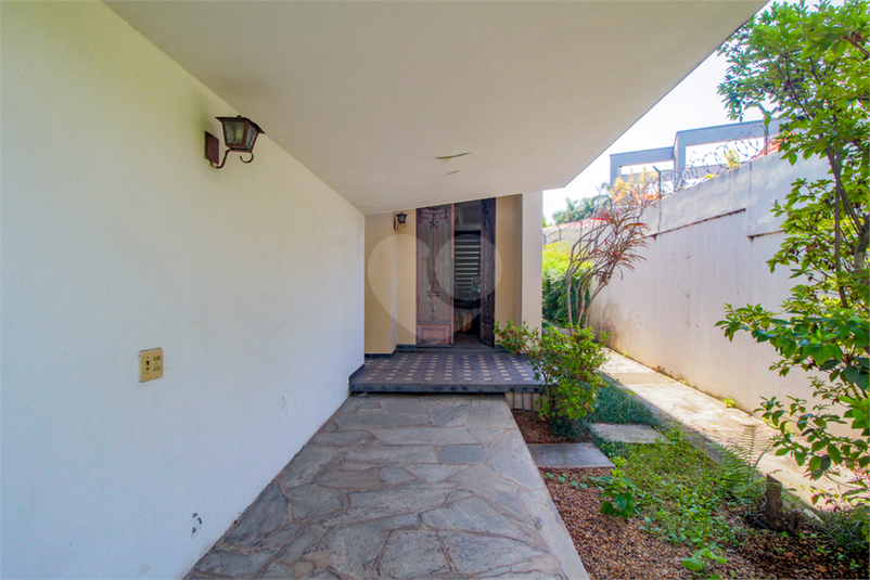 Foto REO700461