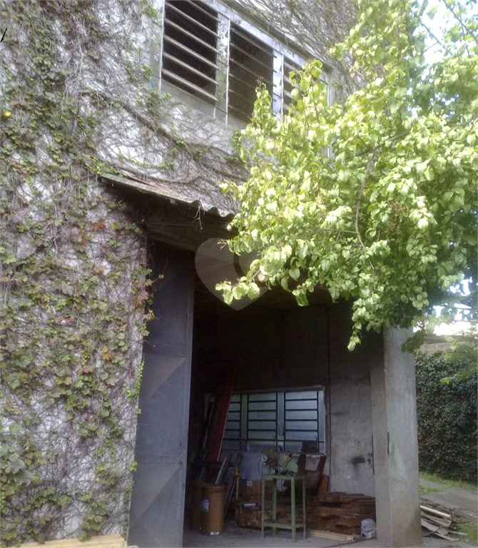 Venda Galpão São Paulo Sítio Morro Grande REO700472 4