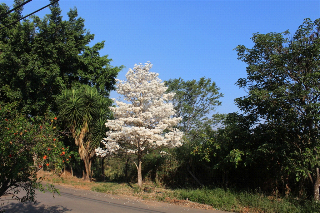 Venda Sobrado Campinas Jardim Antonio Von Zuben REO700823 30