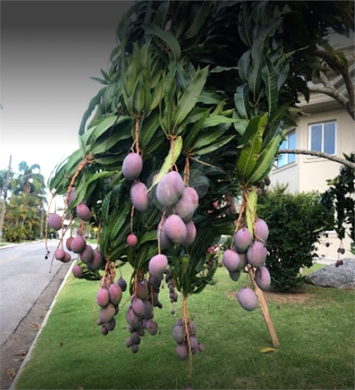 Venda Terreno Santana De Parnaíba Tamboré REO700900 8