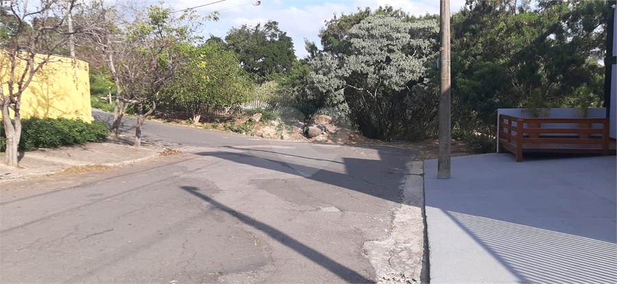 Foto REO701424
