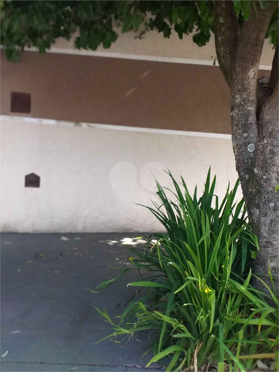 Venda Casa São Carlos Jardim Acapulco REO701657 18