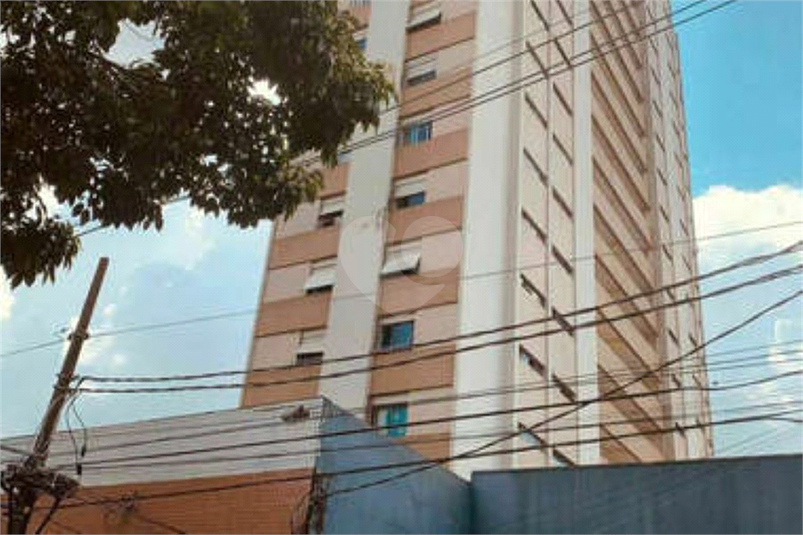 Foto REO701724