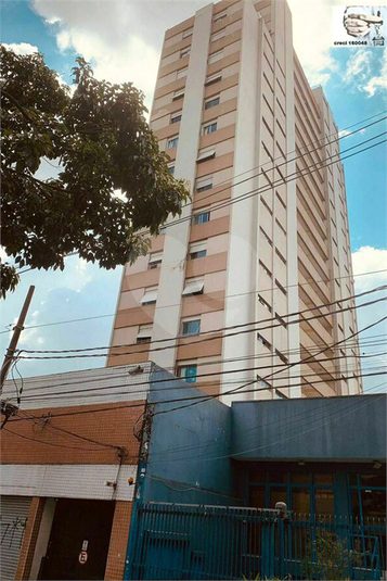 Foto REO701724