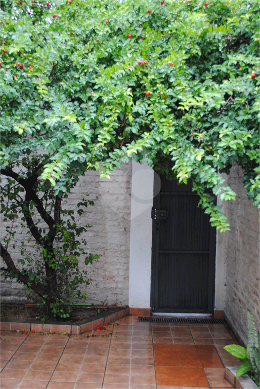 Venda Casa São Paulo Jardim Novo Mundo REO70183 18