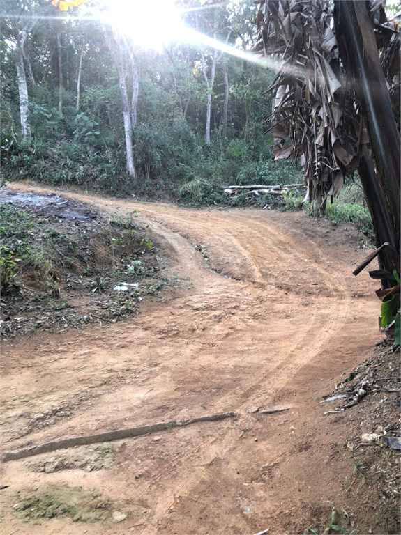 Venda Chácara Santana De Parnaíba Jardim São Luís REO701867 9