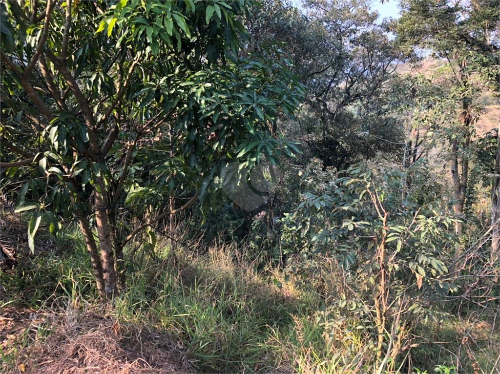 Venda Chácara Santana De Parnaíba Jardim São Luís REO701867 3