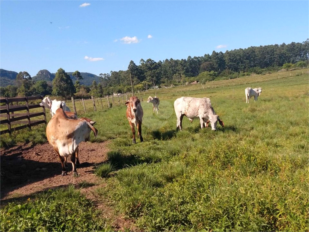 Venda Sítio Gravataí Parque Itacolomi REO702137 11