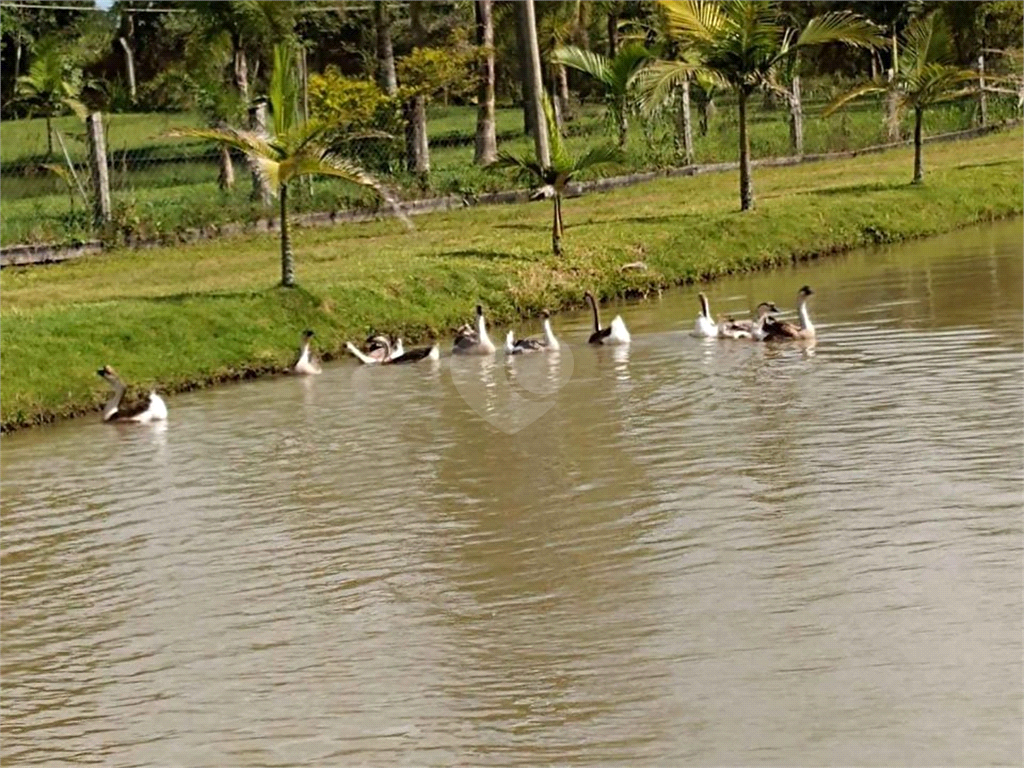 Venda Sítio Gravataí Parque Itacolomi REO702137 6