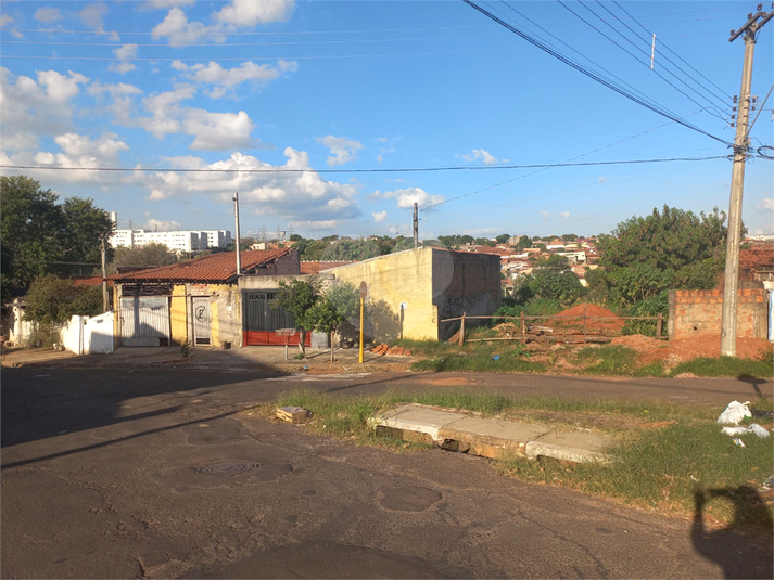 Foto REO702214