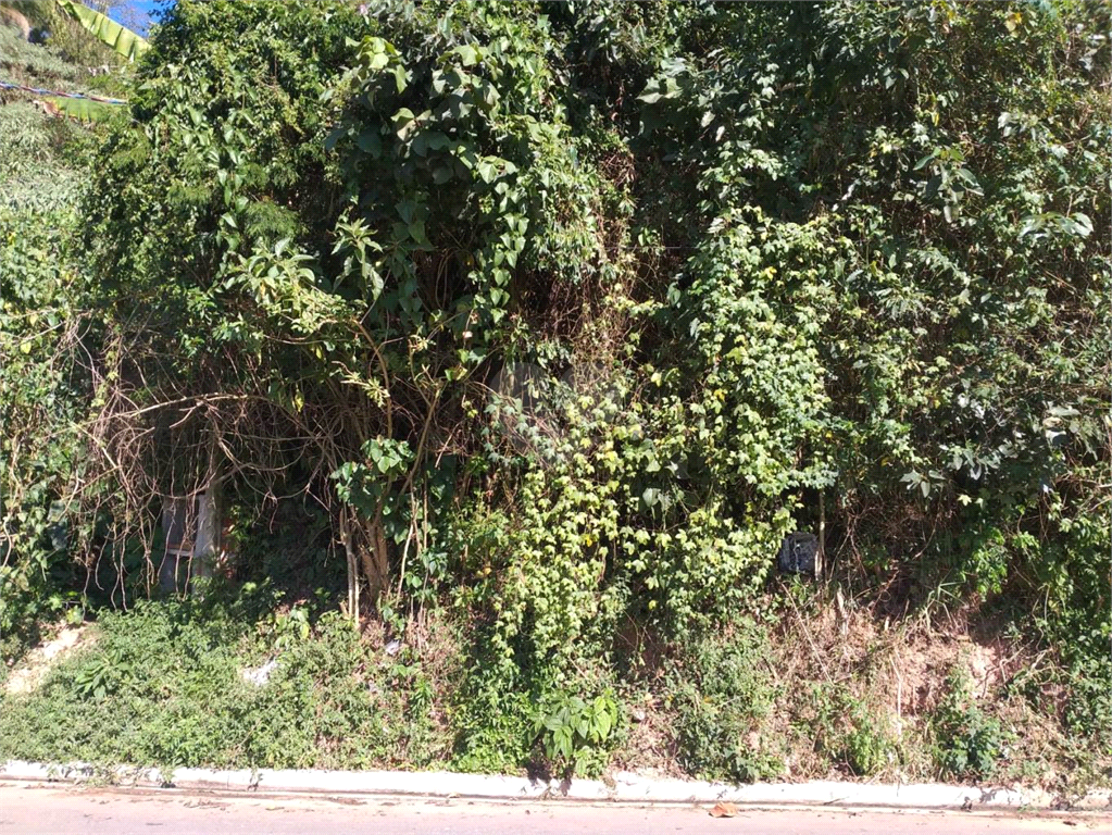 Venda Terreno São Paulo Núcleo Do Engordador REO702291 13