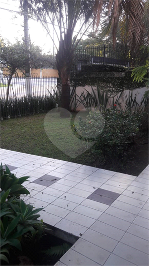 Foto REO702407