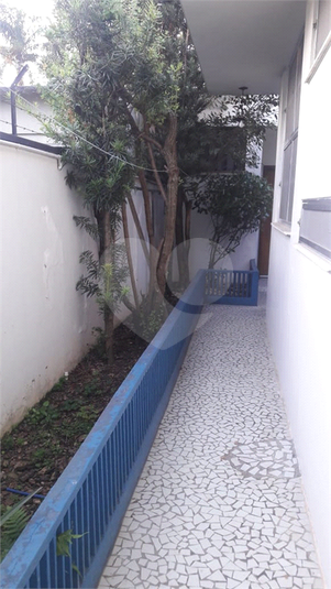 Foto REO702407
