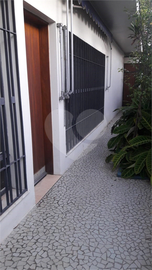 Foto REO702407