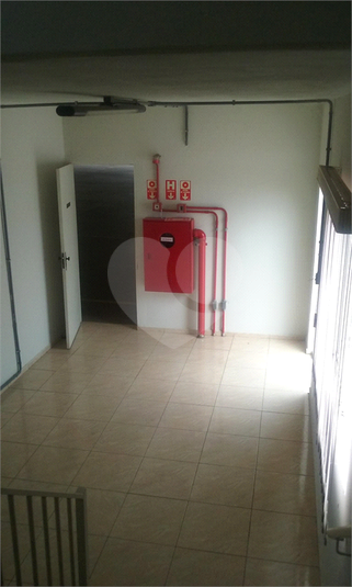 Foto REO702689