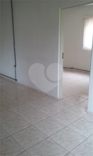 Foto REO702689