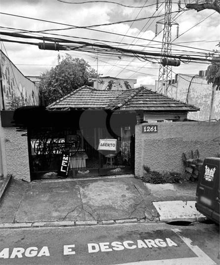 Foto REO702696