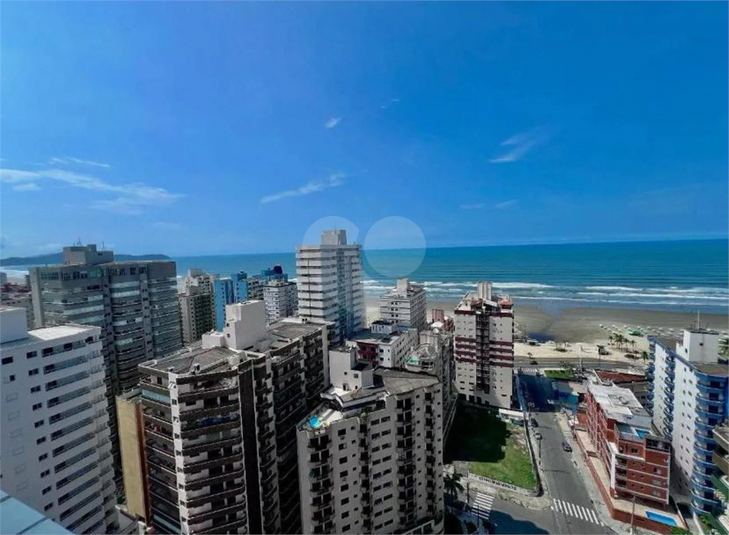 Foto REO702738