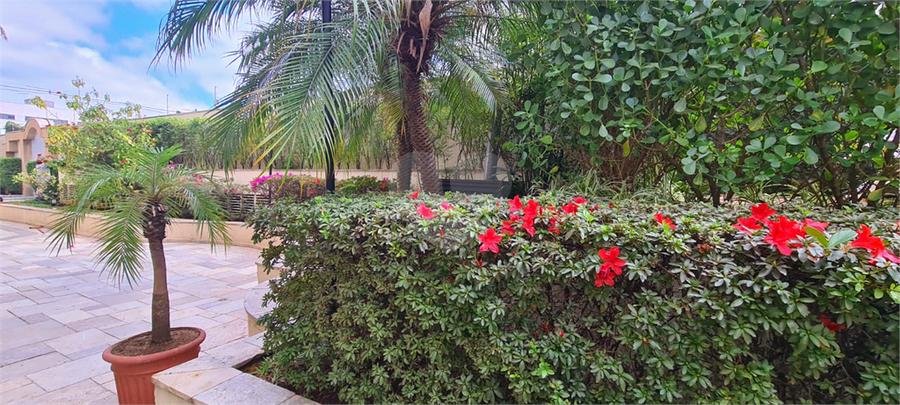 Foto REO702770