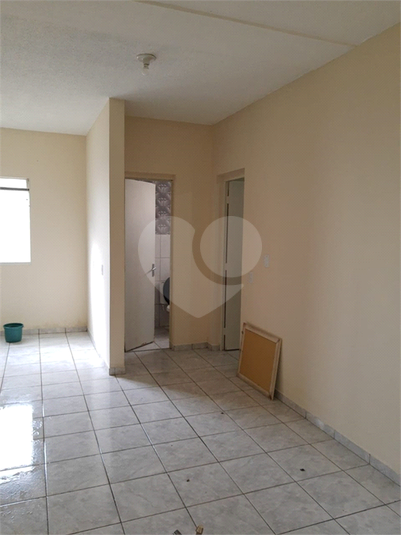 Foto REO702862