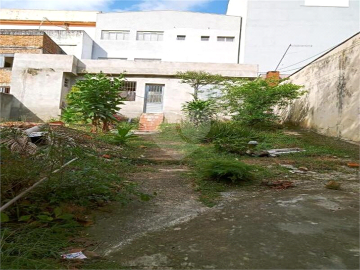 Foto REO702999