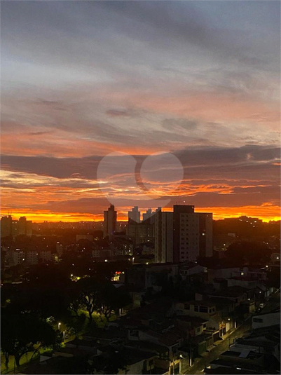 Foto REO703249