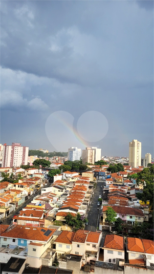 Foto REO703249