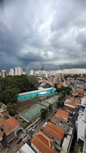 Foto REO703249