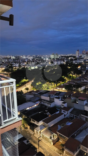 Foto REO703249