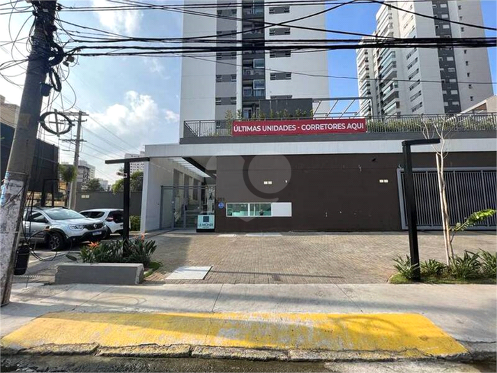 Foto REO703529