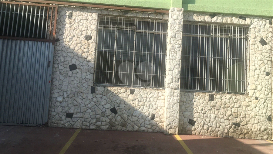 Foto REO703544