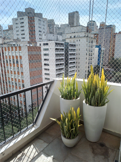 Foto REO703604