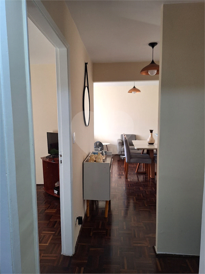 Foto REO704729