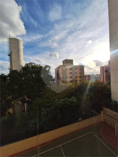 Foto REO704729