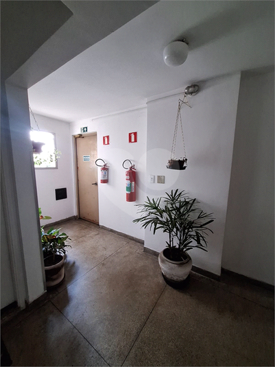 Foto REO704729