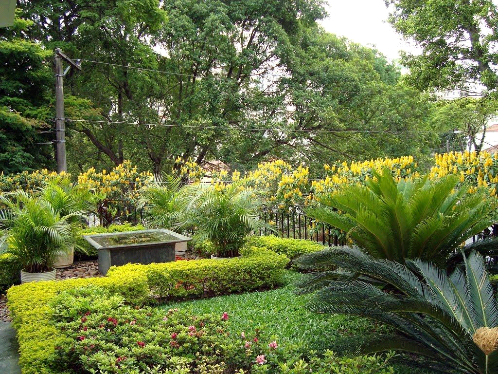 Venda Casa São Paulo Jardim Da Saúde REO705981 10