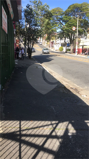Foto REO706029