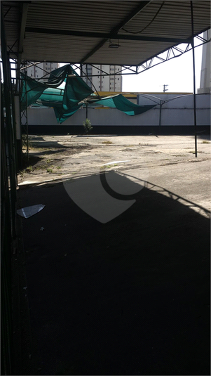 Foto REO706029