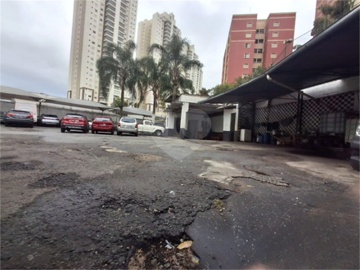 Foto REO706029