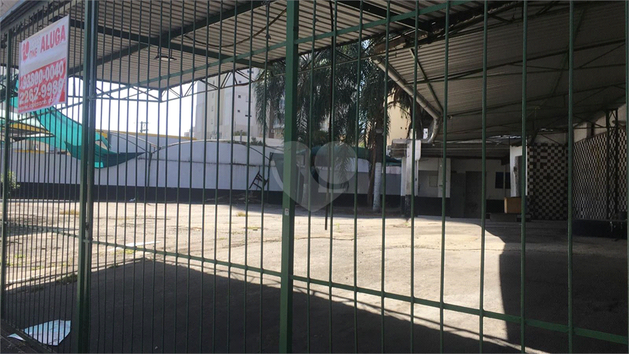 Foto REO706029