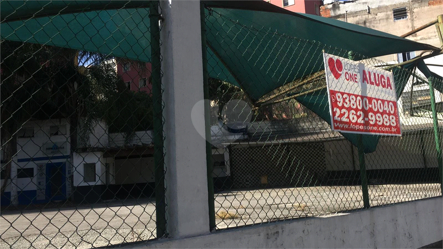 Foto REO706029