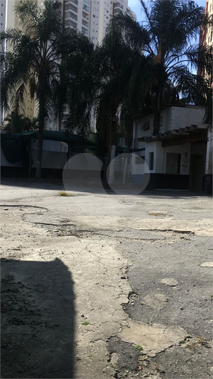 Foto REO706029