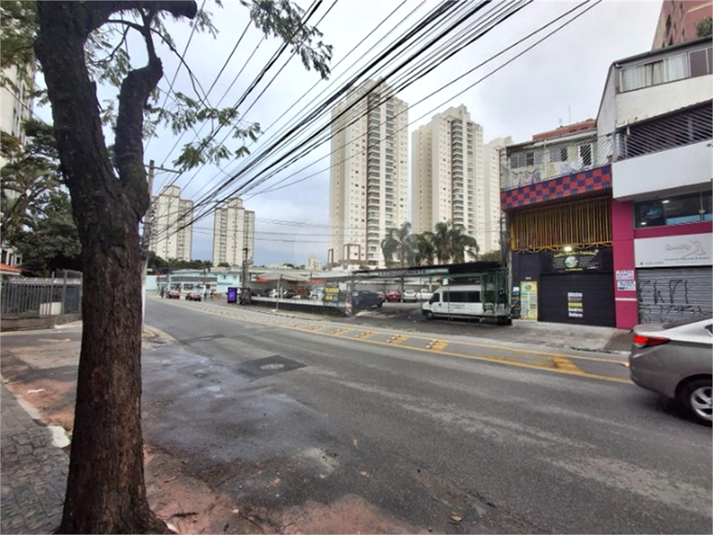 Foto REO706029