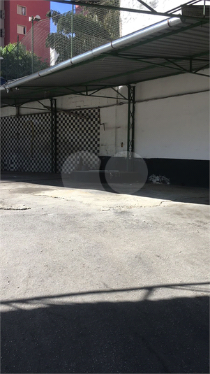 Foto REO706029