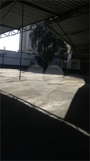 Foto REO706029